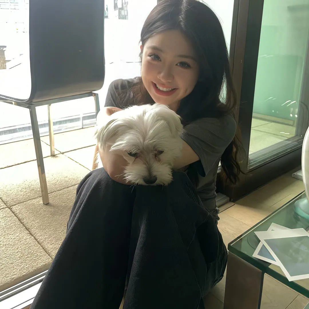 超级无敌掌门狗：面包与死亡事件